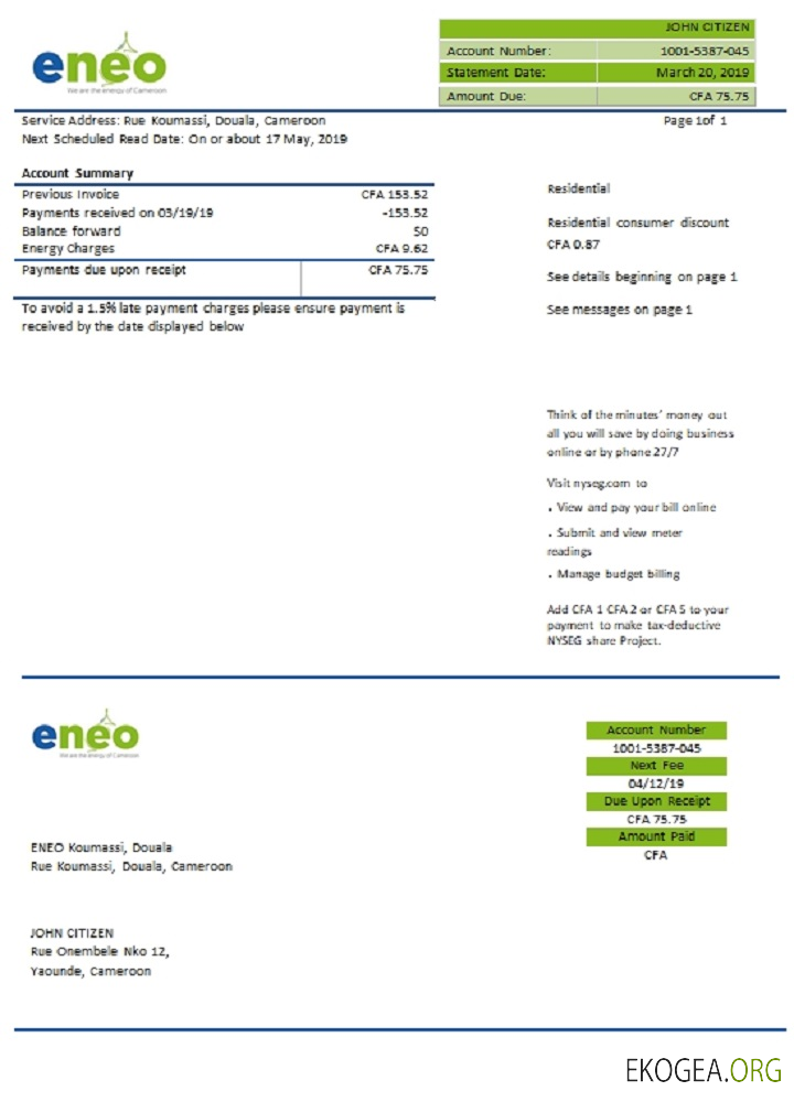 Cameroon Eneo electricity template